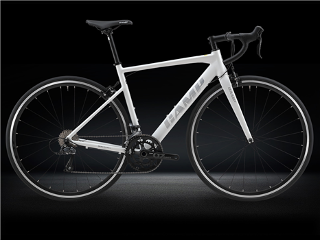 CAMP ALLOY ROAD BIKE RADON